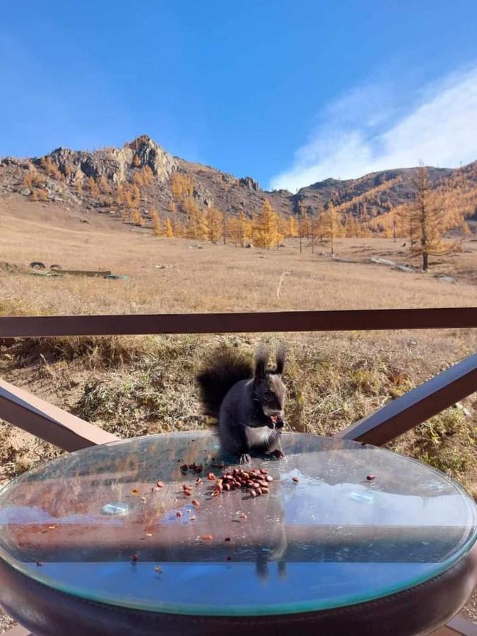 Bayan Bulagiin Hural Apache Eco Camp, Terelj Nationalpark Mongolia酒店 外观 照片