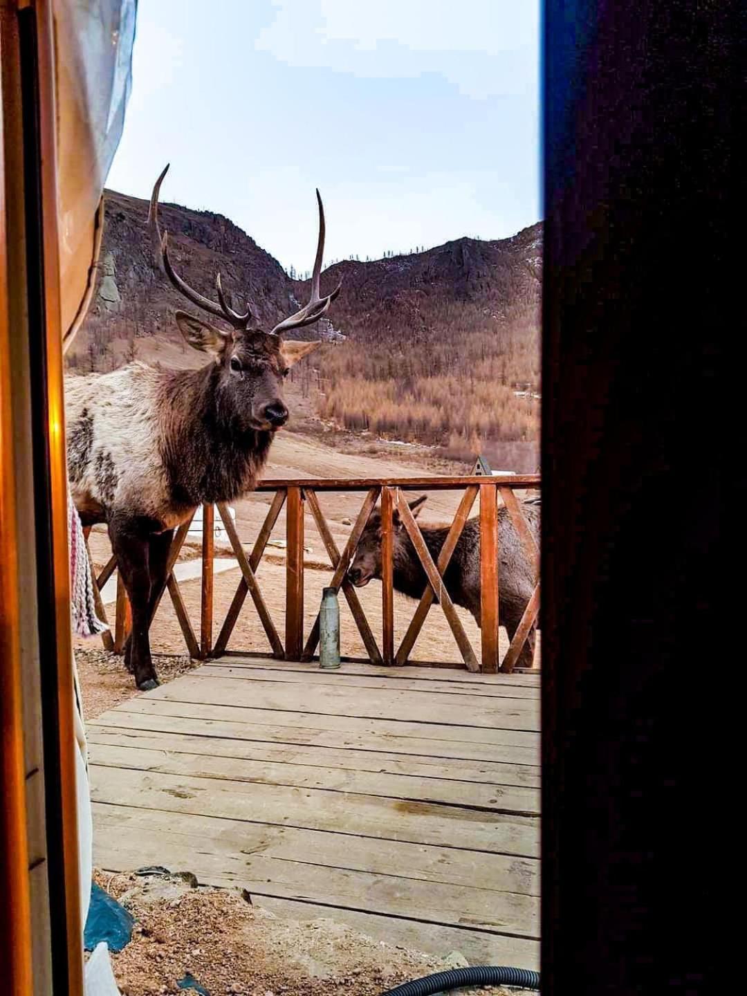 Bayan Bulagiin Hural Apache Eco Camp, Terelj Nationalpark Mongolia酒店 外观 照片